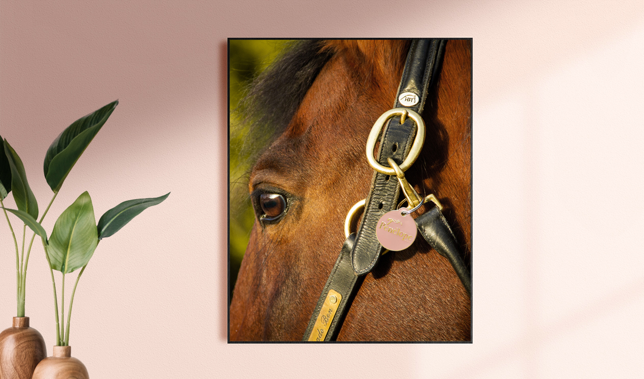 Medailles Penelope cheval